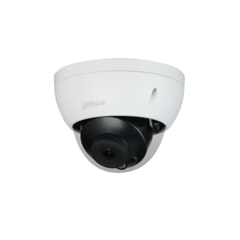 Dahua 2MP IR Fixed-Focus Vandal-Proof Dome Network Camera CN plug (adapter included)