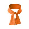Huisdier Nekband Bandana voor Honden - IJssjaal voor Buiten Zomeractiviteiten en Hitte