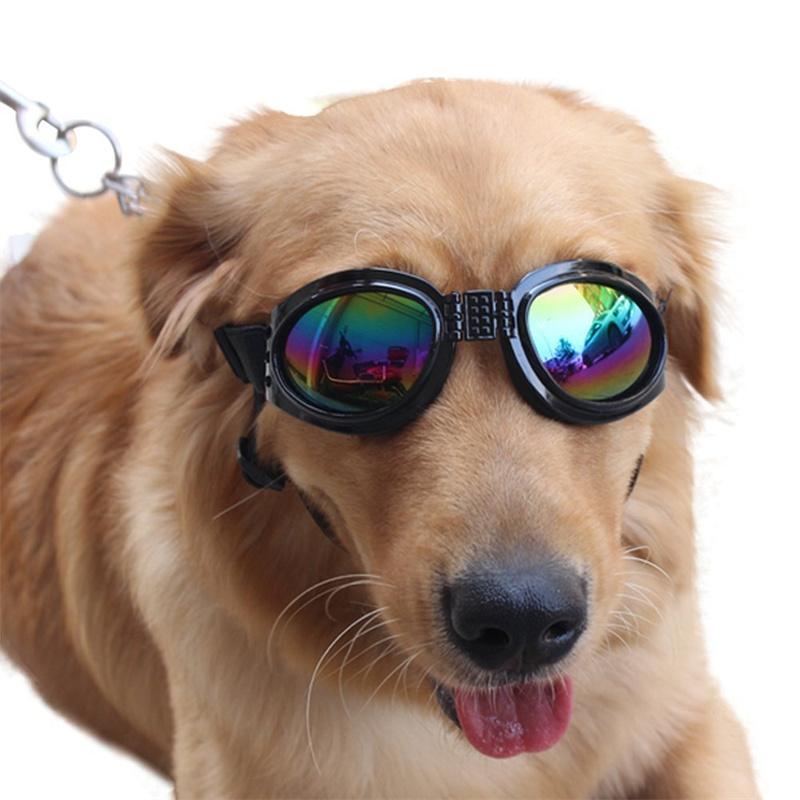 Outdoor Cycling Pet Dog Sunglasses for Small Medium Dogs Adjustable Puppy Cat Glass Goggles Mascotas Accessories para perros
