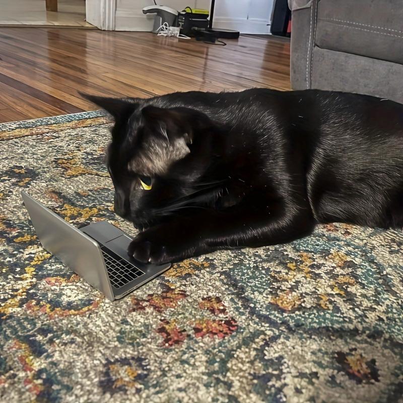 1PC Mirror Convenient Makeup Mirror Cute Mini Mirror Funny Folding Mirror Fashion Laptop Shape Portable Multicolor