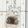Keepsakes Keyring For Pet Owners Hamster Hair Collector Bottle Acrylic Designs Safely Preserves Memories