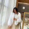 Autumn and Winter New Imitation Fur Women's Imitation Mink Coat Slim and Thin Short Long Hair Light Plush Women's Clothing