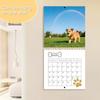 Niedlicher Hunde-Wandkalender 2026 mit Spiralbindung, 12 Monate zum Abreißen, Haustierkalender mit Feiertagsmarkierungen zur Heimdekoration