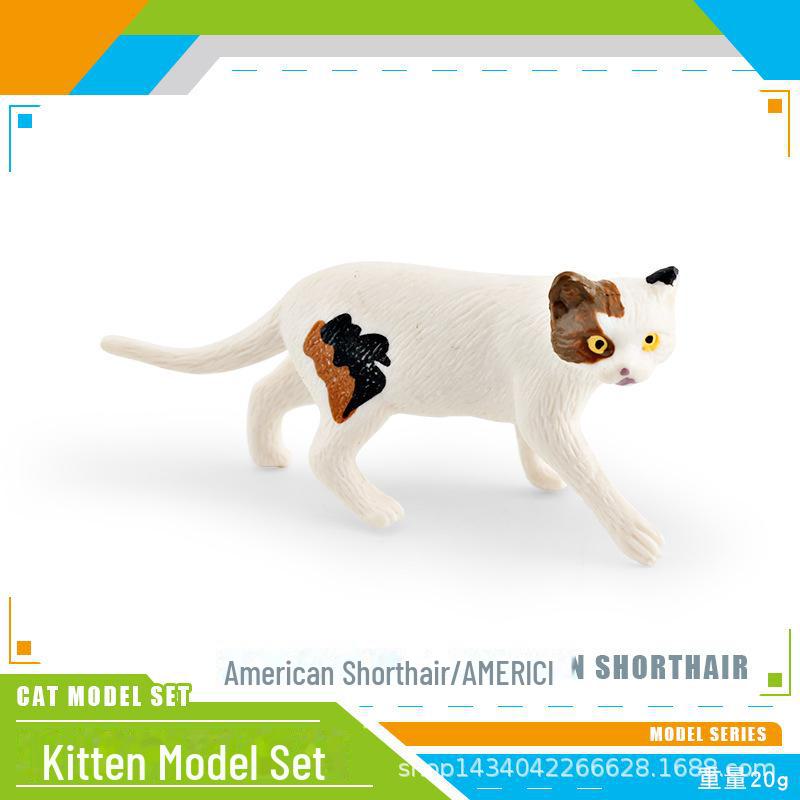 Seashell Cat Figurine: Realistic Kitten Toy Model