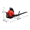 63CC Gas Powered Backpack Leaf Blower, 665CFM 2-Stroke Snow Blower Leaf Blowers Garden Power Tool for Lawn Care Yard Dust Debris