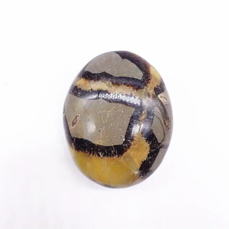 

Септария Пальмовый Камень Гладкий Септария Целебный Кристалл Для Домашнего Украшения