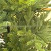 Green PE Christmas Tree, 1.2-2.4m for Home and Hotel Decoration
