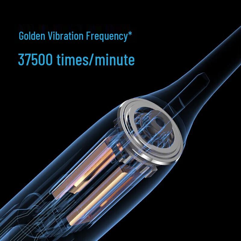 FLYCO Smart Sonic Electric Toothbrush FT7105 CN Plug (adapter Included)