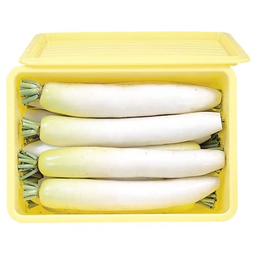 Tombow Pickle Container, 72L, Made in Japan, with Press-Fit Lid, Cream, Shinki Synthetic, 72-Type