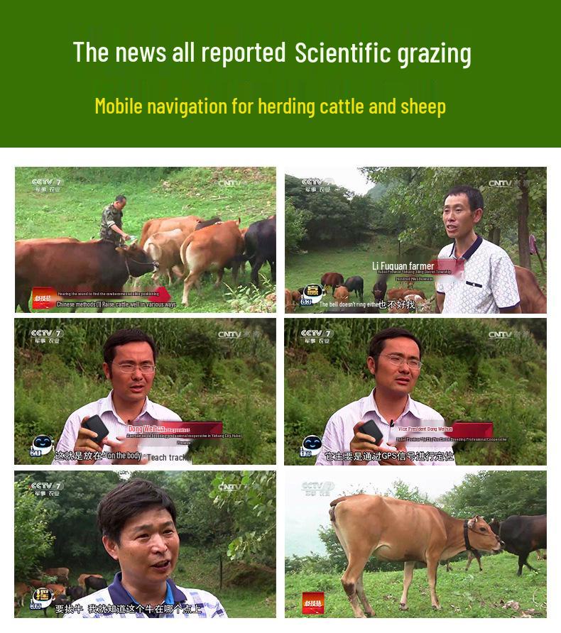 Solar-Powered GPS Cattle and Sheep Locator: Waterproof Anti-Lost Tracking Collar with Extended Battery Life