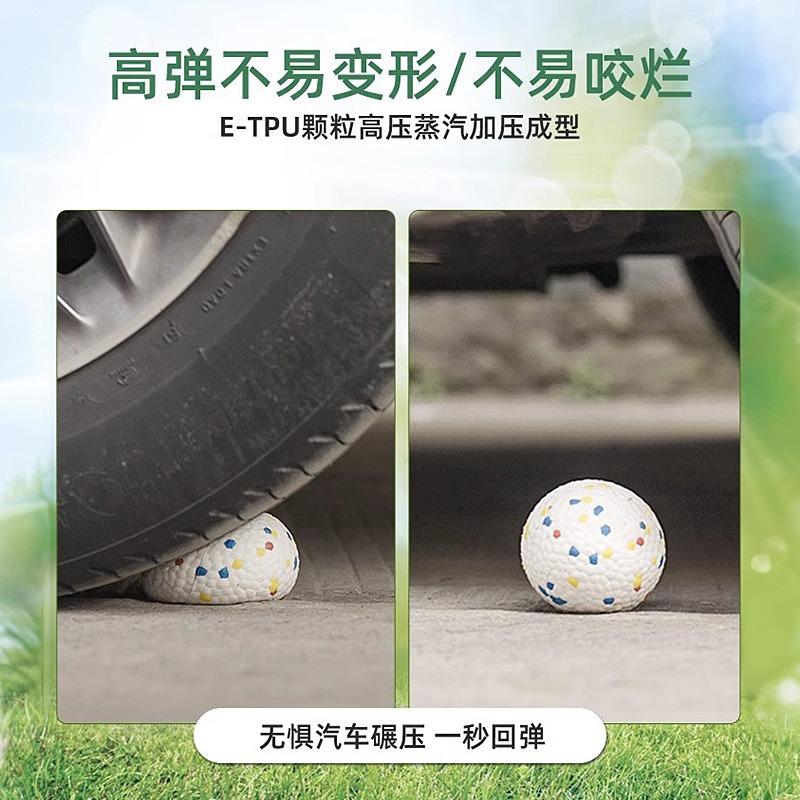 Durable Bite Resistant Elastic Solid Ball Chew Toy For Pet Dogs