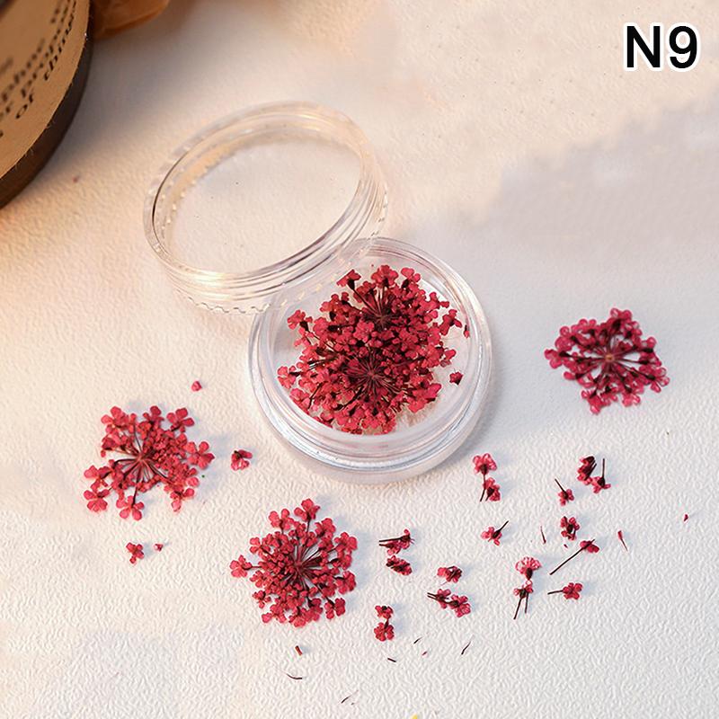 5 st/ask 3D torkade blommor nagelkonstdekorationer torkade blommor klistermärken gör-det-själv manikyr berlocker design för nageltillbehör