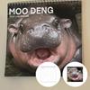 Moo Deng Calendar 2026 Pygmy Hippo Wall Calendar Monthly Planner Hanging Hippopotamus Calendar Gift for Hippo Lovers