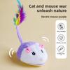 Mouse Electric Simulation Cat Dog Pet Entertainment Toy With Sound Function