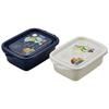 Skater Whisper of the Heart (Ghibli) Sealable Containers, 500ml, Set of 2, Made In Japan, FCN2WAG-A