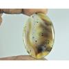30X45X04MM Natural Montana Agate Oval Shape Cabochon Loose Gemstone 56Cts. B-295