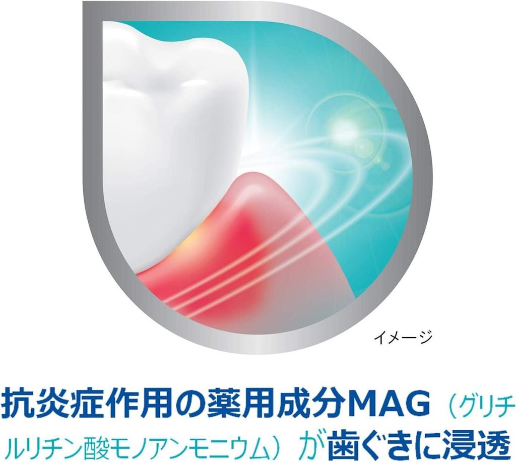 [Earth Chemical] Polident Dental Lab Medicated Toothpaste 100g x 5 pack