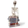 Skeletons For Halloween 2ft Halloween Outdoor Skeletons Human Bone Decorations Skull Props Foldable For Halloween Birthday