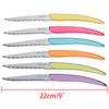 Rainbow Steak Knives Wedding Gift Multicolor Dinner Knife Stainless Steel Table Knives Colorful Acrylic Handle Flatware 9'' 6pcs