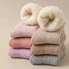 1 Pair Women Winter Socks Mid-tube Thickened Warm Soft Plush No Odor Solid Color High Elasticity Anti-slip Sweat-absorption Anti-shrink Sports Socks