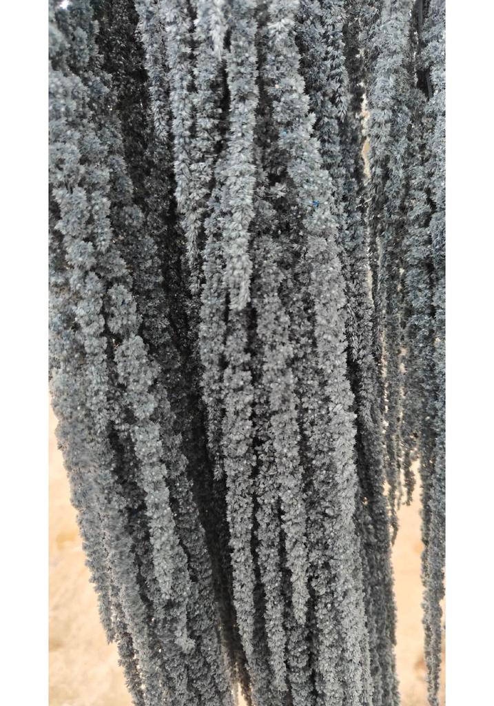 Hanging Rice Dried Preserved Flowers Wedding Decor 'Lover's Tears'