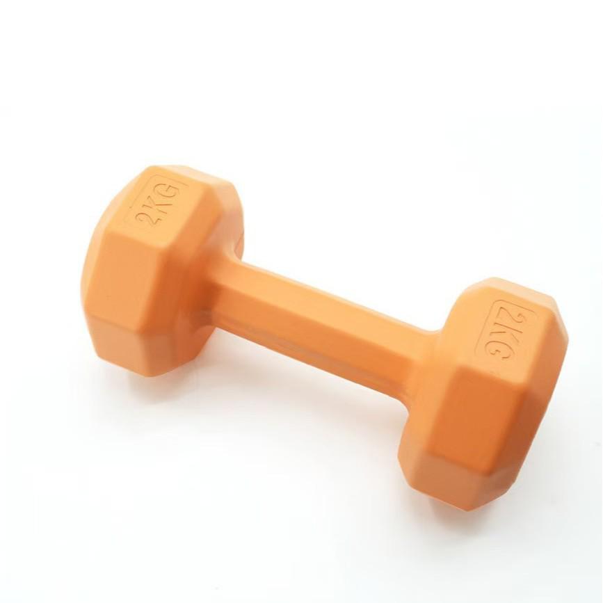 Colorful Dumbbells for Women's Fitness and Children's Home Exercise