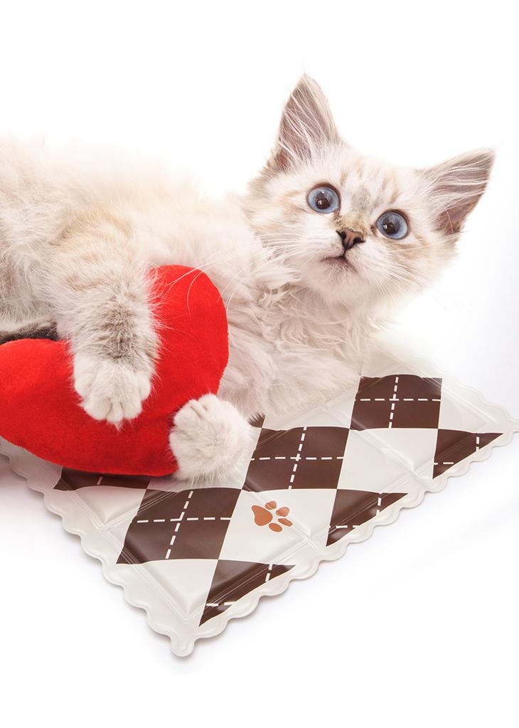 Pet Ice Cushion Cooling Cat Nest Summer Dog Cool Cushion Sleep Cushion Cool Cushion Dog Nest Ice Nest Summer Cool Cushion Cat