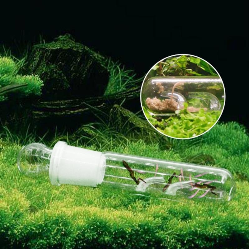 4PCS/Set Aquariums Effective Planarian Catcher for Removing Harmful Organisms from Fish Tanks Durablity Planarian Trap