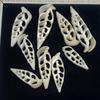 10 Stück/Packung Natürliche Hohl geschnittene Kugel Dreieck Muscheln 35-65mm Hohl Spiral Muscheln für DIY Anhänger Harz Handwerk Meeres Schmuck Herstellung