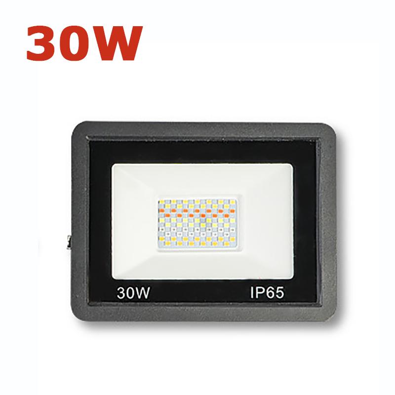 Smart Floodlights LED Reflector Outdoor Lighting 220V 30/50/100W RGB Dimmable Warm Cold White Light for Alexa Google Home Hot