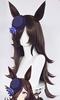 Heat-Resistant Cosplay Wig for Disguise, Includes Net and Comb, Wig, Ears, and Tail (Rice Shower)