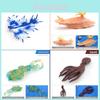Marine Life Pvc Sea Slug Squid Model Collection With Realistic Sea Creatures For Home Decor