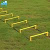 Morytrade 2.2m 3D Training Ladder for Warming Up, Soccer, Futsal, and Track and Field