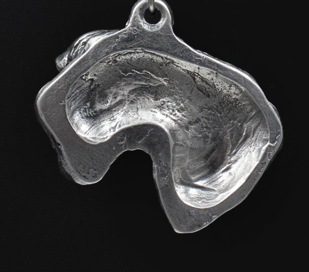 Cesky Terrier, Czech Terrier, Bohemian Terrier - Dog necklace in gift box, silver-plated locket for dog fan, striking pendant by Art-Dog brand