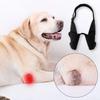 Tutore Protettore Completo per Gomito del Cane per Legamenti Strappati per Tutte le Razze Canine per Gomito e Spalla del Cane Gomito Igroma Tutore per Zampe Anteriori