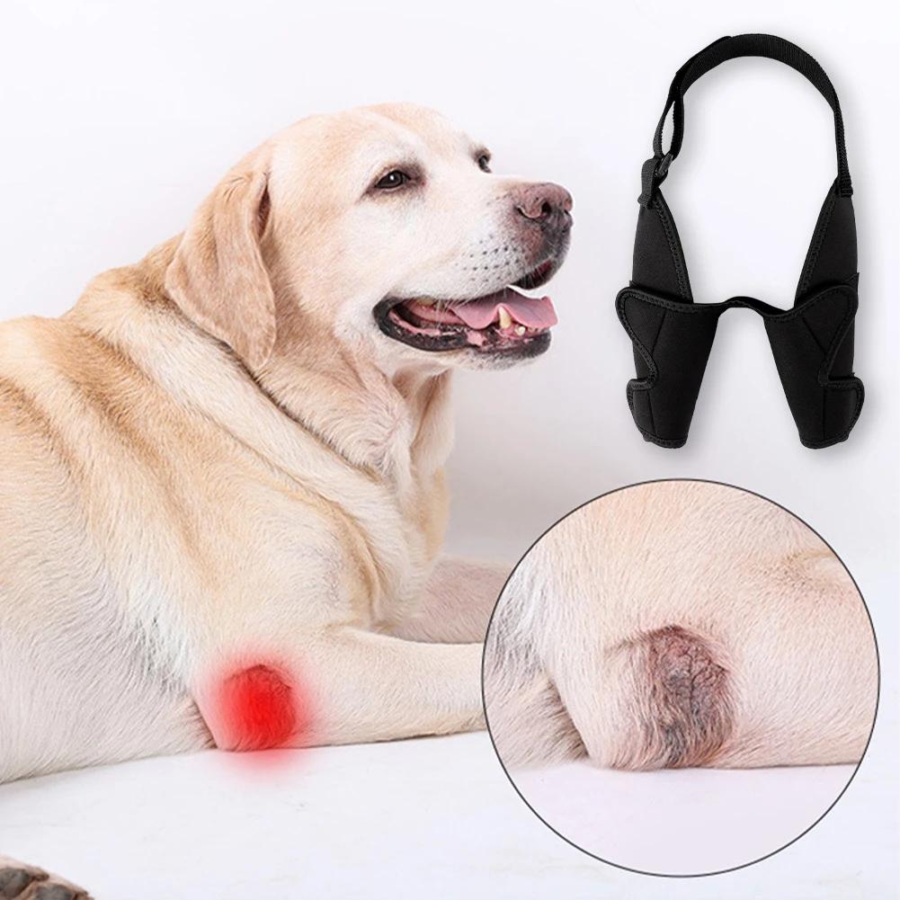 Tutore Protettore Completo per Gomito del Cane per Legamenti Strappati per Tutte le Razze Canine per Gomito e Spalla del Cane Gomito Igroma Tutore per Zampe Anteriori
