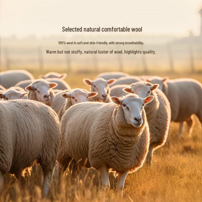 

K-Boxing Men s 100% Wool Round Neck Sweater NYYN3558 2XL