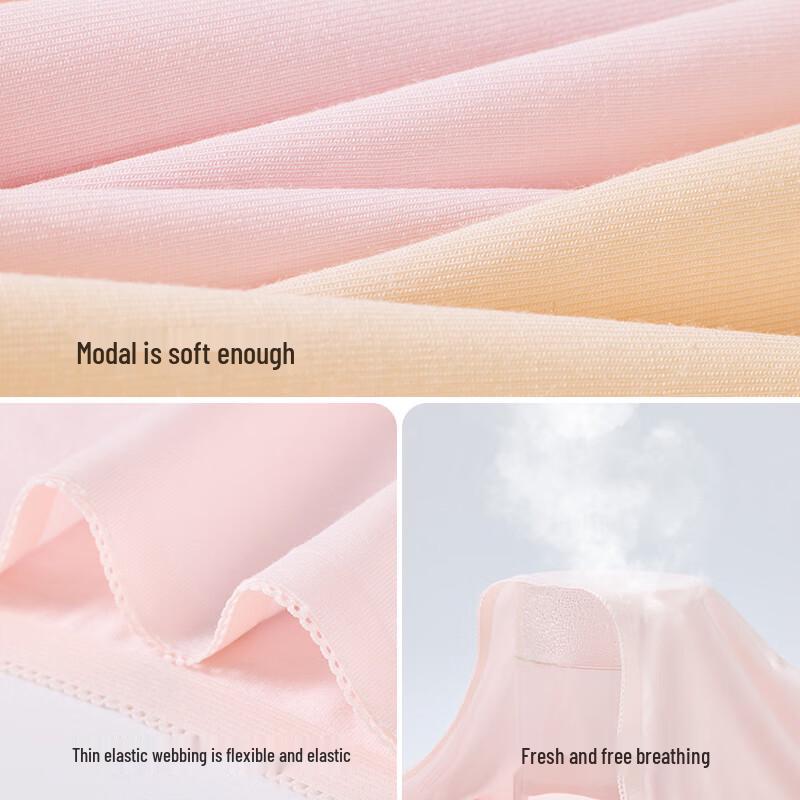 MIIOW Women's Silk Crotch Antibacterial Modal Seamless Briefs (3-Pack)