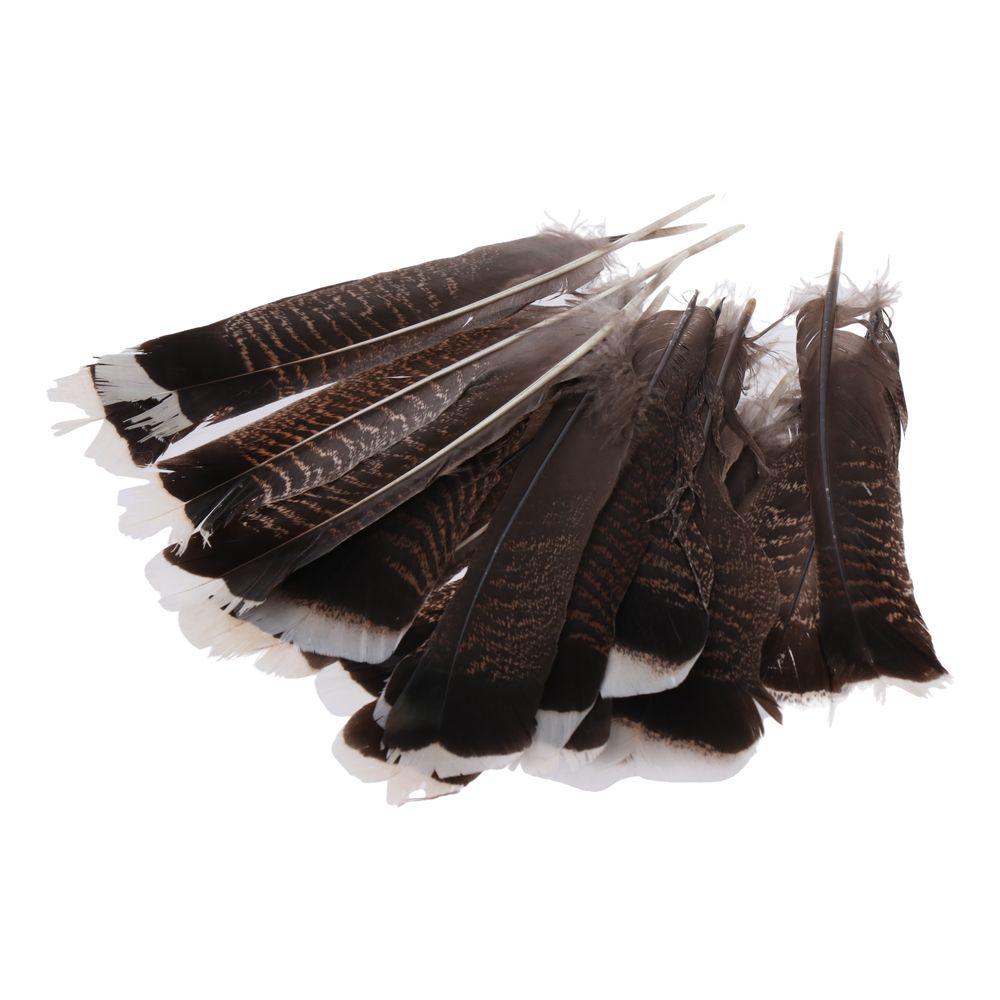 20Pcs Wild Turkey Tails Feathers 8-10inch Feathers Black Natural Quill Feathers DIY Crafts Project Collection Wedding Decor