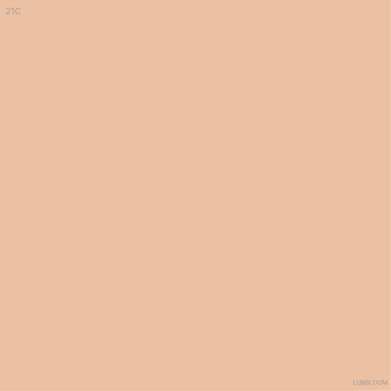 LUNA Long Lasting Conceal Cushion Main 12g + Refill 12g SPF50+ PA++++ (+Free gift)