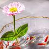 Floating Flower Stem Holder Clear Floral Arrangement Holder Floating Flower Vase