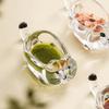 Transparent Cat Shaped Seasoning Dish Glass Glass Dipping Saucer  Tableware Accessories