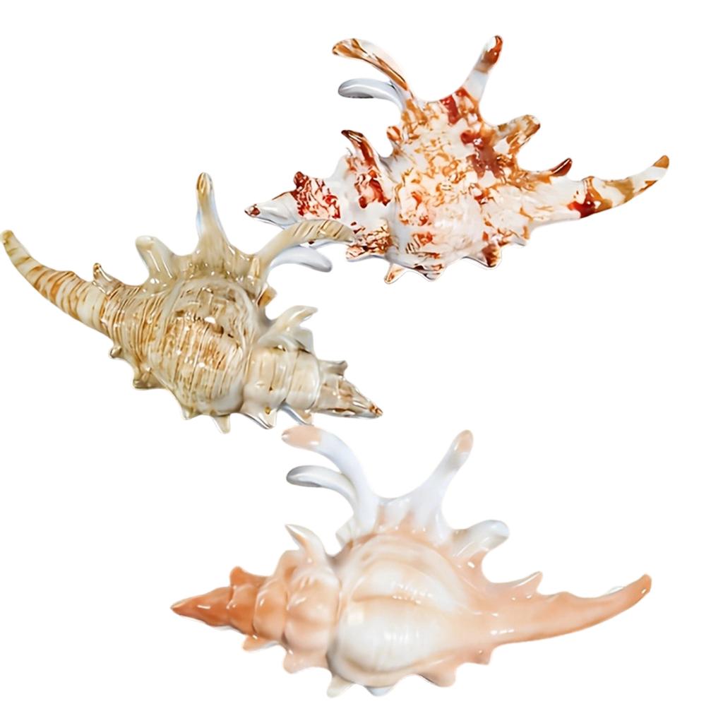 3PCS Seashell Hair Claw Clips Set Ocean Style Hair Accessories for Women Girls Hair Styling Hair Holder Hair Grip Hairpin Hair Claw