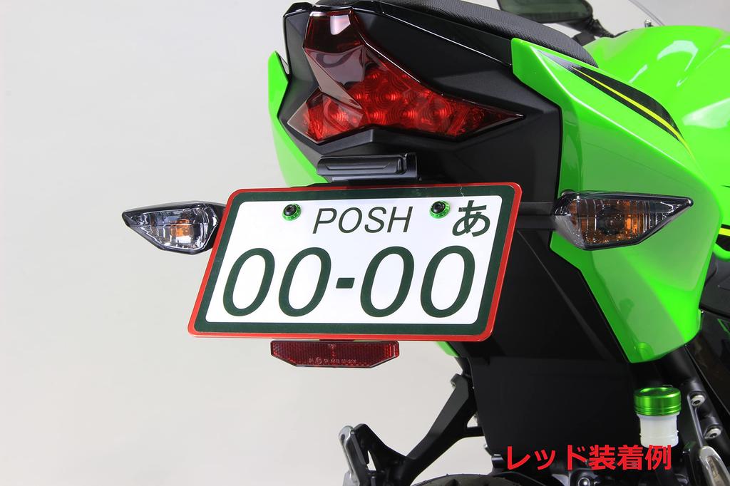 POSH FAITH Motorcycle Aluminum License Plate Back Pole for 126cc and Over Plate, Large, Type, Motorcycles, Black, 500391-06-10