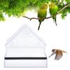 Transparent Hanging Bird Feeder Sturdy Wild Bird Feeder Easy Clean Pet Bird Feeder Courtyard