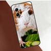 Süße Tiere Meerschweinchen Hülle Für Xiaomi Redmi Note 12 Pro 8 9 10 11 Pro 9S 10S 11S 12S Redmi 12 9C 10C 12C Abdeckung