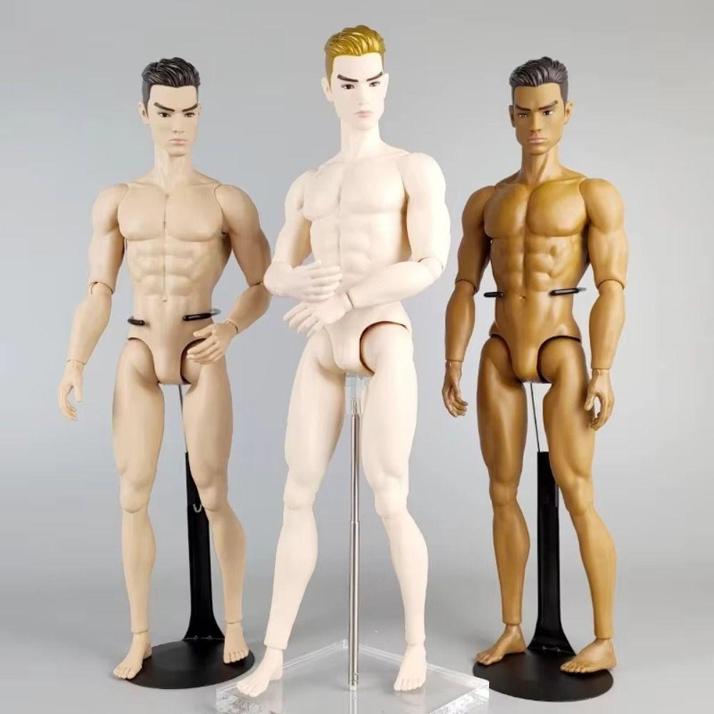White/Normal/Tan Male Model Multi-Joints Action Figure Body 1/6 Male Doll  Replacement