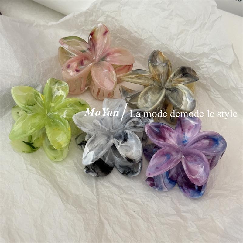 2024 High-End Elegant Frangipani Gradient Hair Claw: Colorful Shark Clip for Women