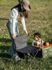 Stainless Steel Folding Outdoor Chair with Backrest for Picnic, Fishing, Sketching, and Camping