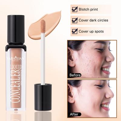 Oil Control Foundation Foundation Cream Foundation Cream 6 Colors Concealer Lasting Makeup Foundation